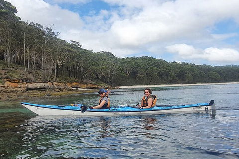 Half-Day Jervis Bay Sea Kayak Tour - Port Augusta Accommodation 6