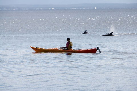 Half-Day Jervis Bay Sea Kayak Tour - Port Augusta Accommodation 4