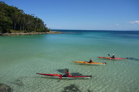 Half-Day Jervis Bay Sea Kayak Tour - Port Augusta Accommodation 3