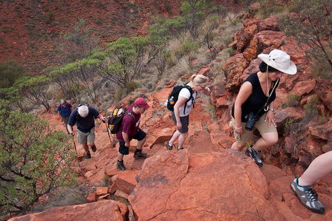 Uluru, Kata Tjuta And Kings Canyon Camping Safari From Alice Springs - Port Augusta Accommodation 3
