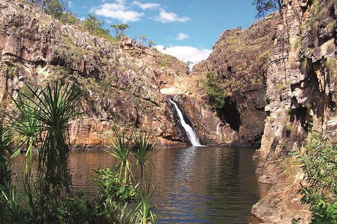 Kakadu, Katherine & Litchfield Adventure - Port Augusta Accommodation 1