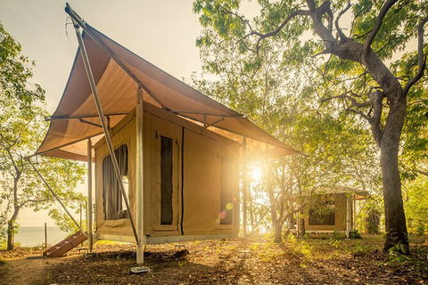 5 Day Kakadu National Park And Arnhem Land Tour - Port Augusta Accommodation 7