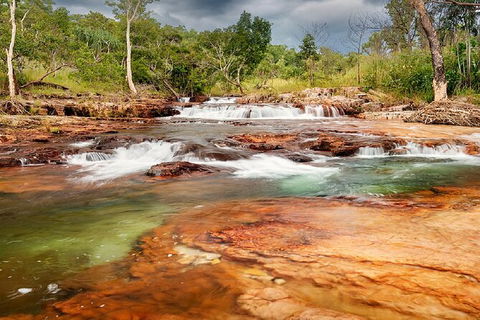Full-Day Private Guided Tour To Litchfield National Park - Port Augusta Accommodation 14