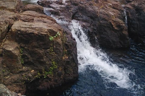 Full-Day Private Guided Tour To Litchfield National Park - Port Augusta Accommodation 8
