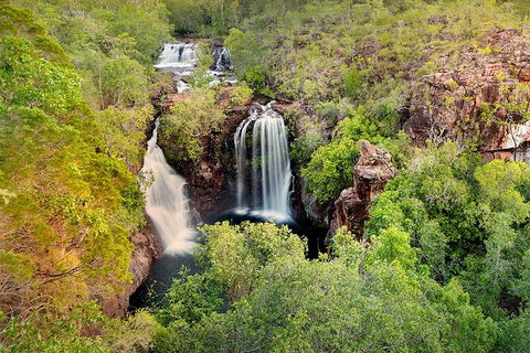 Full-Day Private Guided Tour To Litchfield National Park - Port Augusta Accommodation 0