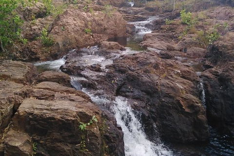 Full-Day Private Guided Tour To Litchfield National Park - Port Augusta Accommodation 15