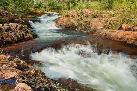 Full-Day Private Guided Tour To Litchfield National Park - Port Augusta Accommodation 3