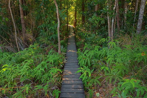 Full-Day Private Guided Tour To Litchfield National Park - Port Augusta Accommodation 7