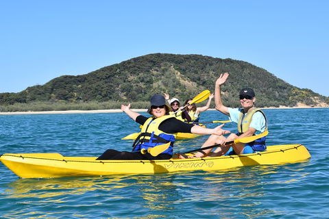 Kayak With Dolphins And 4WD Great Beach Drive Day Trip From Noosa - Port Augusta Accommodation 6