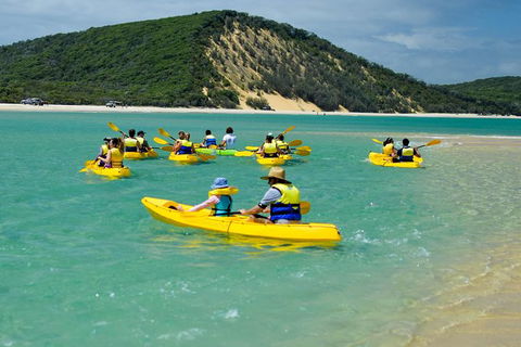 Kayak With Dolphins And 4WD Great Beach Drive Day Trip From Noosa - Port Augusta Accommodation 8