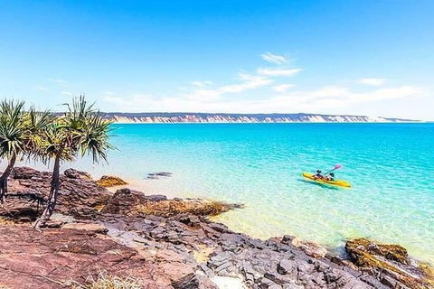 Kayak With Dolphins And 4WD Great Beach Drive Day Trip From Noosa - Port Augusta Accommodation 3