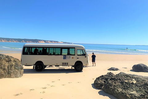 Kayak With Dolphins And 4WD Great Beach Drive Day Trip From Noosa - Port Augusta Accommodation 17