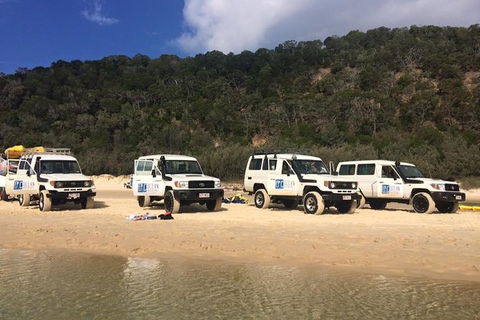 Kayak With Dolphins And 4WD Great Beach Drive Day Trip From Noosa - Port Augusta Accommodation 9