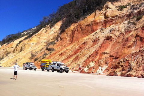 Kayak With Dolphins And 4WD Great Beach Drive Day Trip From Noosa - Port Augusta Accommodation 12