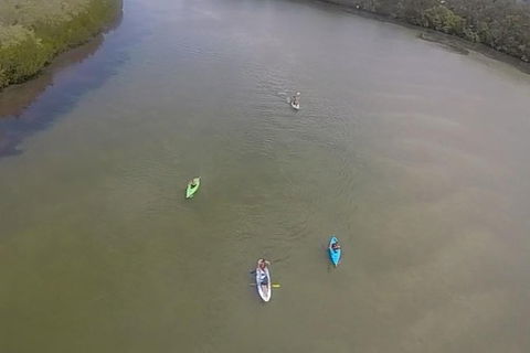 Surf & Kayak = Perfect Half Day Tour - Port Augusta Accommodation 18
