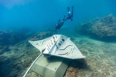Private Standard Charter Experience In Whitsundays - Port Augusta Accommodation 7