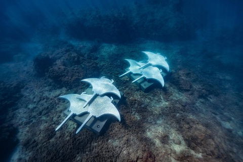 Private Standard Charter Experience In Whitsundays - Port Augusta Accommodation 6