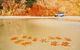 Great Beach Drive: 4WD Day Tour Between Noosa And Rainbow Beach - thumb 0