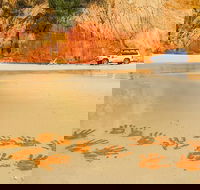 Great Beach Drive 4WD Day Tour Between Noosa and Rainbow Beach - Port Augusta Accommodation