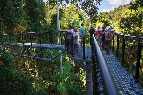 The Best Of Tamborine Mountain From The Gold Coast - Port Augusta Accommodation 2