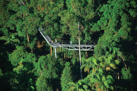 The Best Of Tamborine Mountain From The Gold Coast - Port Augusta Accommodation 3