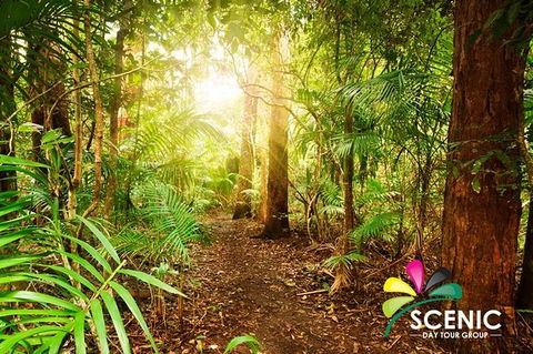 The Best Of Tamborine Mountain From The Gold Coast - Port Augusta Accommodation 1