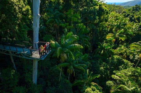 The Best Of Tamborine Mountain From The Gold Coast - Port Augusta Accommodation 0