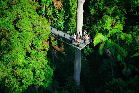 The Best Of Tamborine Mountain From The Gold Coast - Port Augusta Accommodation 4