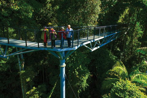 The Best Of Tamborine Mountain From The Gold Coast - Port Augusta Accommodation 7