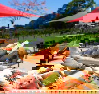 Sunshine Coast Private Gourmet Food and Wine Tour - Port Augusta Accommodation