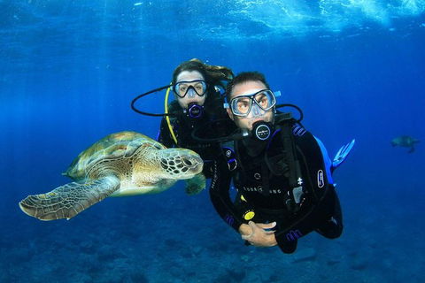 3- Day Advanced Open Water Diver Course On The Gold Coast - Port Augusta Accommodation 1