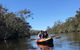 Kayak, EMtn Bike, Local Vineyard = Perfect Hinterland Day Tour - thumb 6
