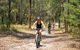 Kayak, EMtn Bike, Local Vineyard = Perfect Hinterland Day Tour - thumb 18