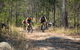 Kayak, EMtn Bike, Local Vineyard = Perfect Hinterland Day Tour - thumb 13