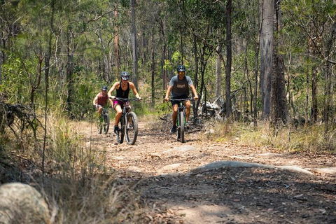 Kayak, EMtn Bike, Local Vineyard = Perfect Hinterland Day Tour - Port Augusta Accommodation 13