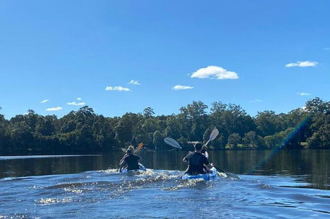 Kayak, EMtn Bike, Local Vineyard = Perfect Hinterland Day Tour - Port Augusta Accommodation 16