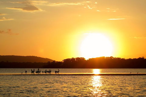 Noosa River Cruise For 3 To 4 People On A Classic Mahogany Speed Boat - 90 Min. - Port Augusta Accommodation 6