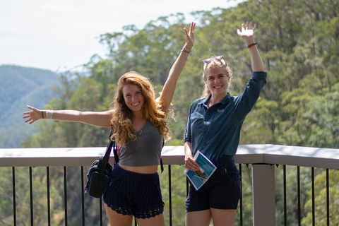 Full-Day Guided Hinterland Adventure Tour In Queensland - Port Augusta Accommodation 11