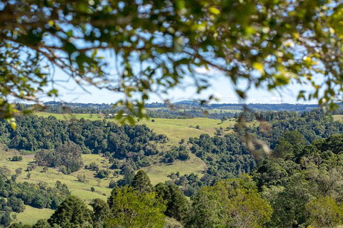 Full-Day Guided Hinterland Adventure Tour In Queensland - Port Augusta Accommodation 5