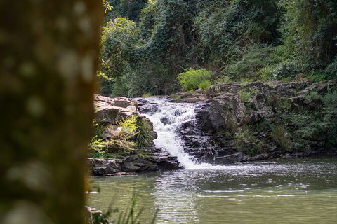 Full-Day Guided Hinterland Adventure Tour In Queensland - Port Augusta Accommodation 9