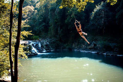 Full-Day Guided Hinterland Adventure Tour In Queensland - Port Augusta Accommodation 4