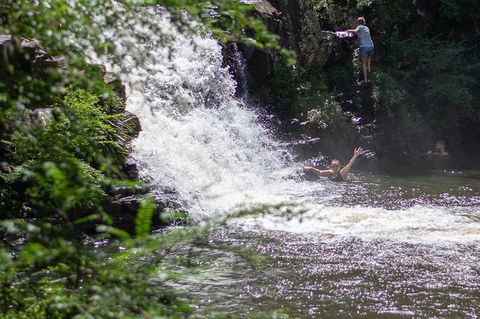 Full-Day Guided Hinterland Adventure Tour In Queensland - Port Augusta Accommodation 6