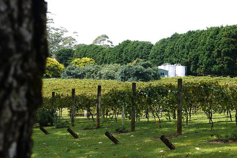 Hens Party Winery Tour - Port Augusta Accommodation 6