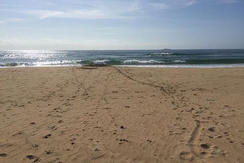 Self-guided Coast Walks - Noosa To Sydney 6 Days ( Dep 25 Sep 2019, 24 Sep 2020) - Port Augusta Accommodation 5