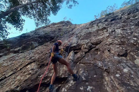 Noosa Hinterland Scenic FAT Bike & Abseil Tour - Port Augusta Accommodation 7