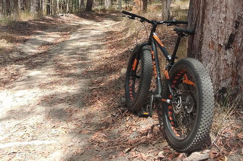 Noosa Hinterland Scenic FAT Bike & Abseil Tour - Port Augusta Accommodation 1