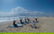 Surf & EMtn Bike = Epic Half Day Tour - thumb 23