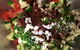 Cooking Classes In Caloundra - thumb 4
