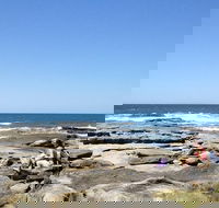 Sunshine Coast Rocky Shore Educational Eco Tour - Port Augusta Accommodation