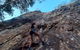 Noosa Hinterland Scenic Canoe & Abseil Tour - thumb 8